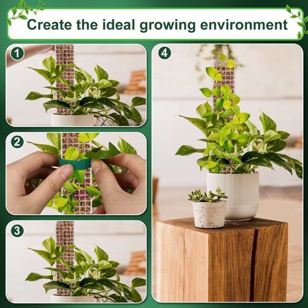 MesaSe 6Pcs Plastic Moss Poles 23.6in Reusable Plastic Plant Stick