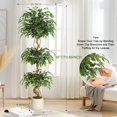 thumbnail image 3 of 4 ft Artificial Ficus Tree with Curved Trunks, Realistic 2-Tier Faux Silk Tree in White Cement Planter, 3 of 14