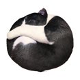 thumbnail image 2 of ABPWLY Cats Pillow Toy Cats Doll Children's Doll Futon Tatami Cushion 17.71in Clearance Side Sleeper Pillow Canada Days Big Pillows for Bed Pillow, 2 of 6