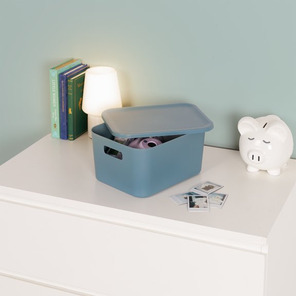 Neatfreak Kids Medium Lidded Storage Box, plastic