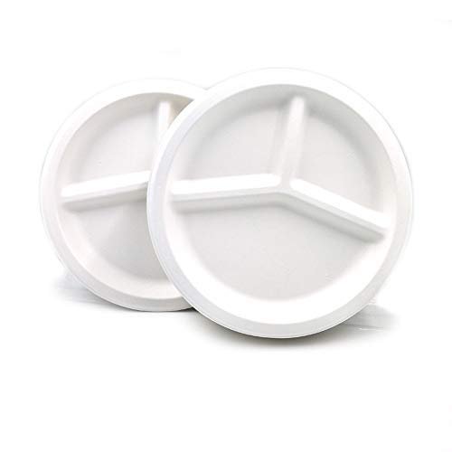 Disposable Eco-Friendly Biodegradable Bagasse Tableware Sugarcane Fiber Dinner Plates Compostable Disposable Square Plates Dessert Dinnerware for Party BBQ Wedding
