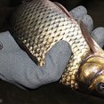 thumbnail image 4 of 1pcs Gant de Pêche avec Aimant de Libération, Pêcheur Professionnel Attraper des Gants de Poisson Coupe et Résistant à la Perforation avec des Crochets Magnétiques Hunti, 4 of 9