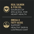 thumbnail image 4 of Purina Pro Plan Specialized Sensitive Skin & Stomach Salmon & Rice Formula, Dry Dog Food 13.6kg, 4 of 9