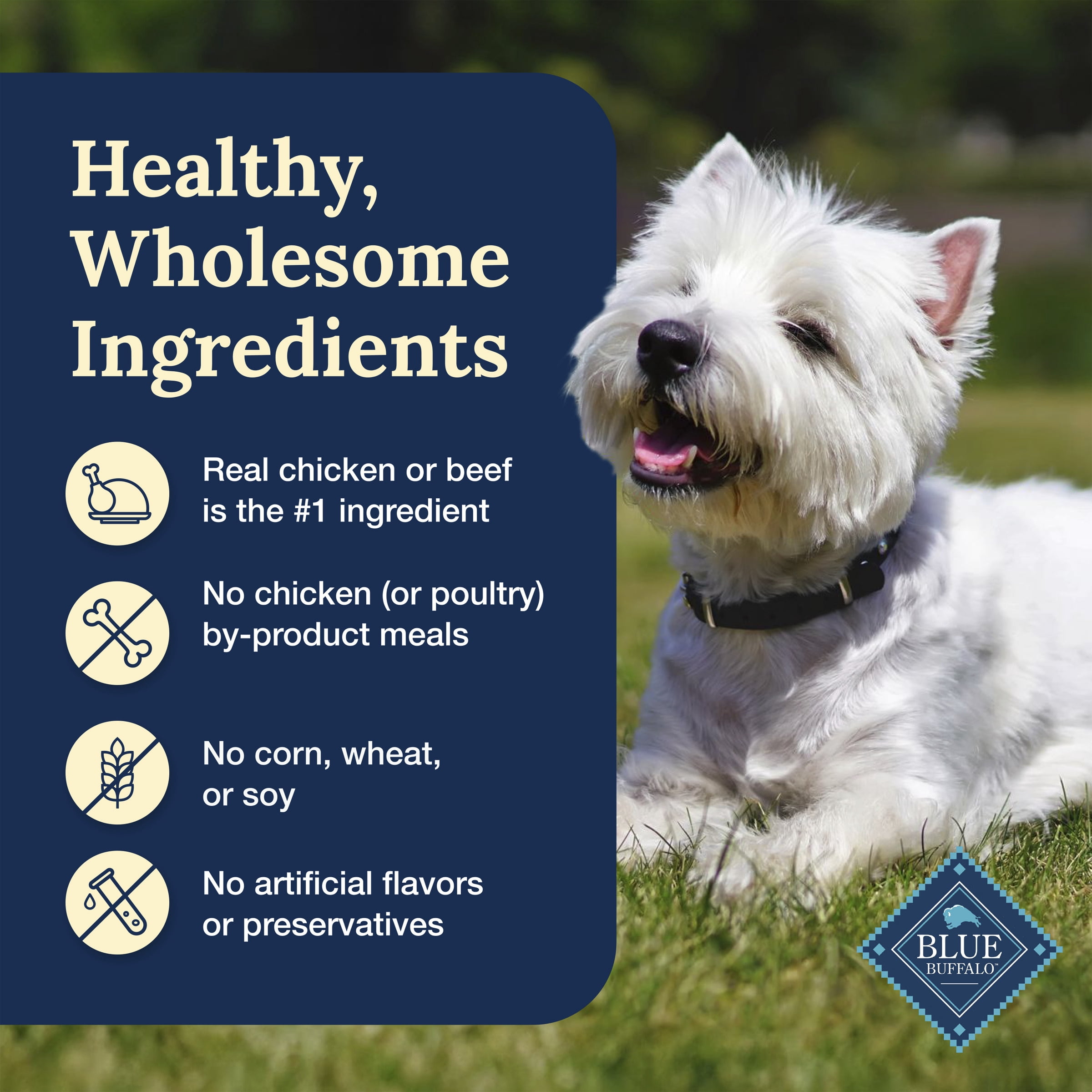Blue Buffalo Tempting Toppers Assortiment de Nourriture Humide Naturelle pour Chiens, Poulet et Bœuf