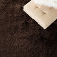 thumbnail image 4 of Safavieh Paris Darwin Plush Shag Area Rug, 4 of 8