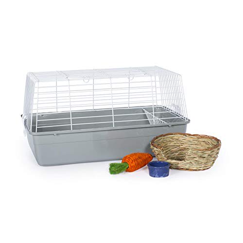 Prevue Pet Kit de Démarrage Essentiel Lapin - 527-KIT