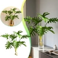thumbnail image 1 of Monstera Leaf Indoor Greenery Enhancer for Home and Elegant Visual Appeal, 1 of 6