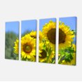 thumbnail image 2 of Magnifique Vue de Tournesols - Impression sur Toile Florale, 2 of 3