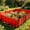 Orange#3, variant on XiYing 20Pc Outdoor Garden Fence Plastic Landscaping Border Edging Easy Install Lawn Barrier for Flower Beds Walkways Driveways and Patio D