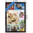 thumbnail image 2 of Keith Kimberlin - Collage de chiots et de chatons, 2 of 4