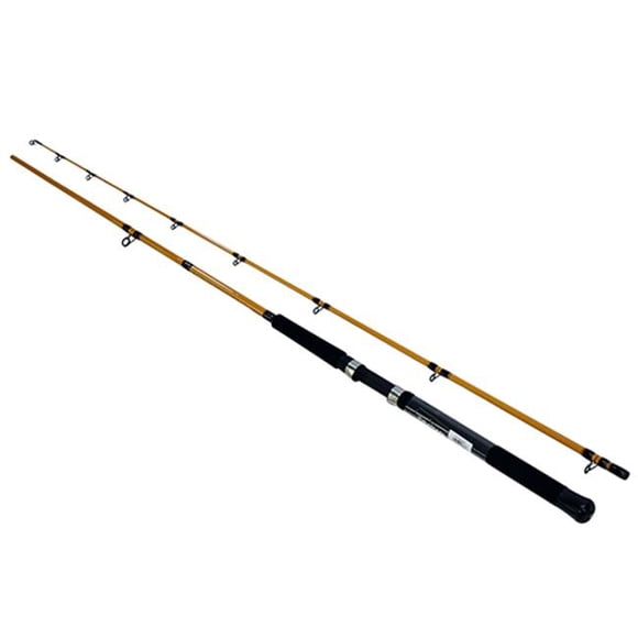 Daiwa FTT862MR Canne à Traîne 2 Pcs 10 - 20 Pi