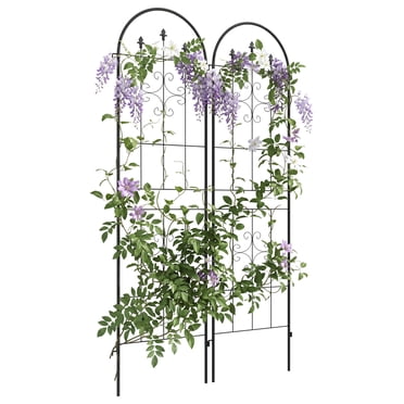 Ensemble de 2 Treillis de Jardin Treillis en Métal pour Plantes Grimpantes Fleurs