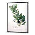 thumbnail image 2 of Designart Vintage Botanicals XX FLOAT FRAME WALL ART, 2 of 4