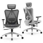 SIHOO M57 Ergonomic Office Chair Mesh High Back Desk Chair Computer Chair with Headrest, Armrest and Lumbar Support,300lb,Light Gray