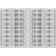 thumbnail image 1 of Ahgly Tapis Rectangulaire Lavable en Machine Intérieur Transitionnel Gris Platine, 2 Pieds x 3 Pieds, 1 of 7