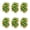 Green, variant on 6 Pcs Cheerleading Pom Poms Elastic Wristband Ponytail Holder Hair Ropes Party Costume Gifts Bulk for Team Celebration Volleyball Game