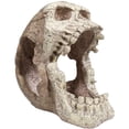 thumbnail image 4 of Penn Plax Skull Hide-Away Reptile Decor, 4 of 7