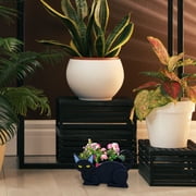 Dvkptbk Planter A Cute Shape Garden Flower Pot Plant Planting Pot Garden Decoration Home Decor