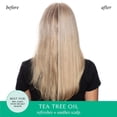thumbnail image 2 of HASK® après-Shampooing Revigorant à l'Huile d'Arbre à Thé & au Romarin, 2 of 8