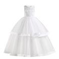 thumbnail image 1 of RXIRUCGD 2025 Summer Clothes for Kids Children's Sleeveless Round Neck Exquisite Three-dimensional Embroidered Flower Mesh Princess Cake Dress Dress Evening Dress Dress Dress, 1 of 8