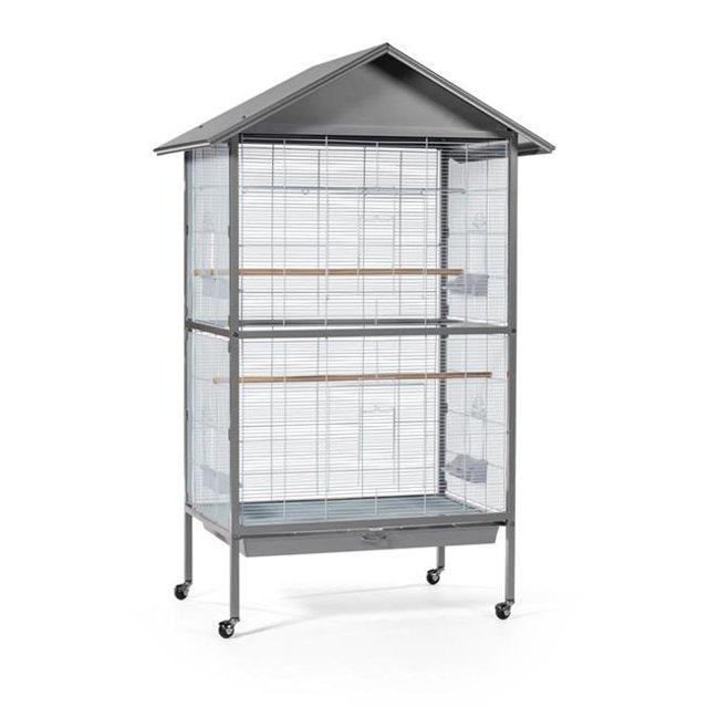 Prevue F036 0.43 Po Charming Aviary, Gris Perle - Extra Grand