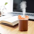 thumbnail image 1 of PEONAVET Salt Stone Humidifier Salt Stone Humidifier Mini Humidifier 280MLUSB Cool Mist Portable Desktop Humidifier Humidifier Two Misting Modes Quiet for Baby Bedroom Office Home, 1 of 1