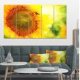 thumbnail image 1 of Tournesol en Floraison sur Champ - Grande Impression d'Art sur Toile d'Animaux, 1 of 3