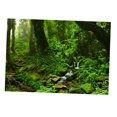 thumbnail image 4 of tamizeot Aquarium Background 3D Background Poster Fish Tank Decorations Sticker Wall Grass Green 61x41cm, 4 of 6