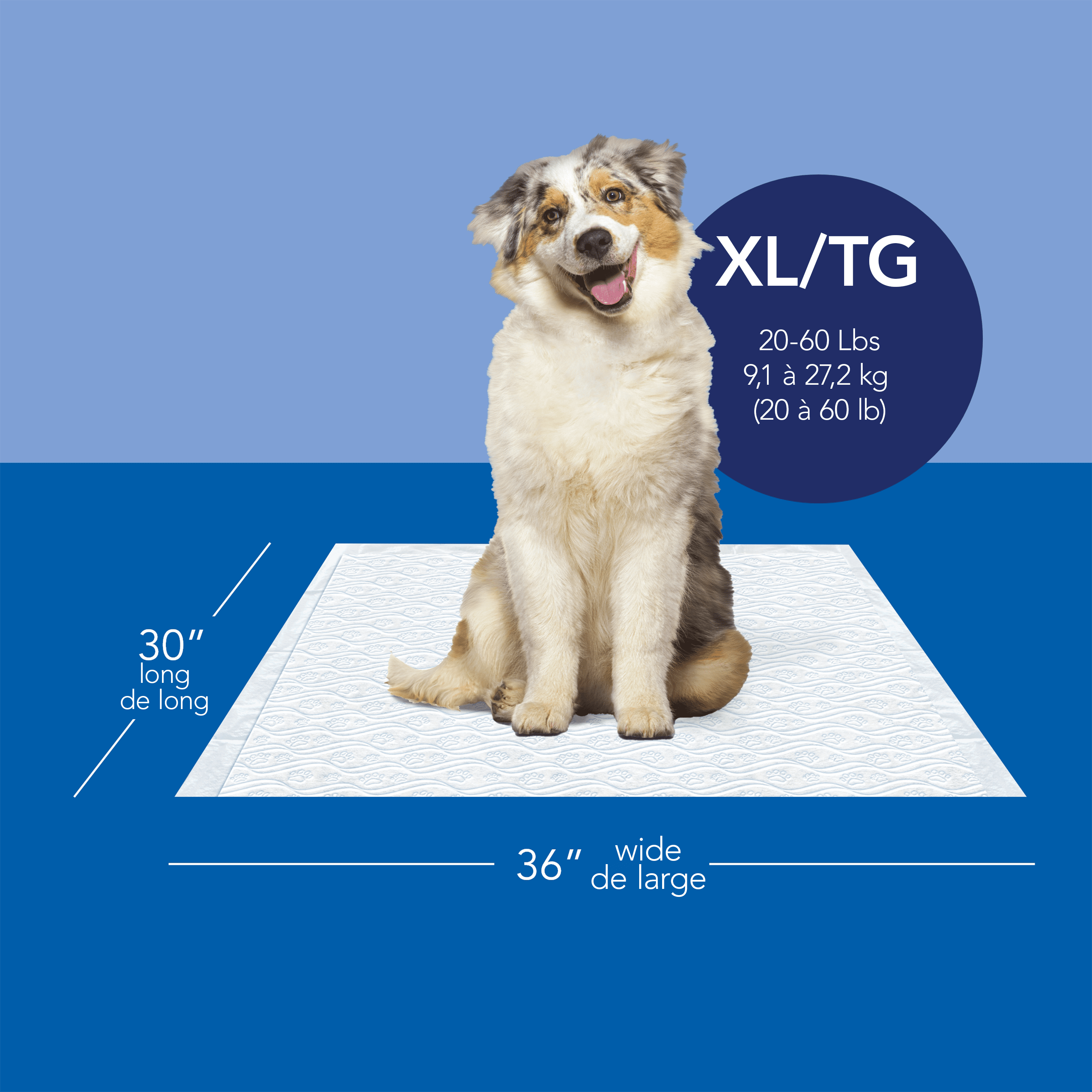 Scott Pet Guard Tapis de Propreté pour Chiens - Tapis de Propreté pour l'Entraînement des Chiots, Chiens Moyens & Grands - jusqu'à 12 Heures d'Absorption, Contrôle des Odeurs - Tapis de Propreté pour Chiens Jetables Faciles à Jeter - Taille TG - 30 Pouces x 36 Pouces - Lot de 20