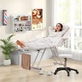 thumbnail image 2 of Gymax 73'' Facial Chair with Hydraulic Stool w/ Detachable Armrests & Towel Rack White, 2 of 10