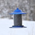 thumbnail image 2 of Perky-Pet 2 lb Blue Sparkle Panorama Feeder, 2 of 8