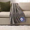 thumbnail image 1 of NHL, NBA, MLB Grey Sports Throw Blanket, 50" x 60", 1 of 5