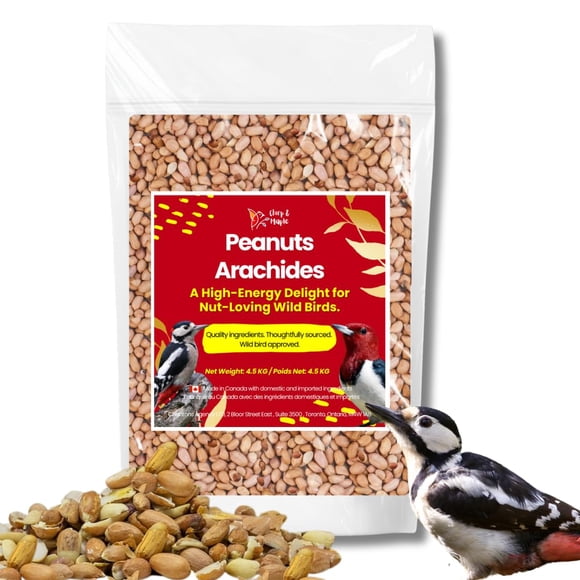 Chirp & Maple , Arachides Sans Coquille pour Oiseaux Sauvages - Amandes Crues Non Salées de Qualité Supérieure, Nourriture pour Oiseaux Riche en Protéines à Haute Énergie pour Geais Bleus,
