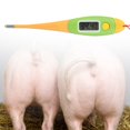 thumbnail image 4 of Professional Plastic Electronic LCD Digital Animal Thermometer for Pet Dogs, 4 of 8