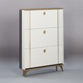 thumbnail image 1 of SOCE042 - Modern Minimalist Slim Shoe Cabinet, 1 of 9
