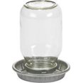 thumbnail image 1 of Pot Mason pour Bébé Poussin - Transparent 1 Quart MJ9826, 1 of 1