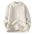 thumbnail image 1 of Ketyyh-chn99 Cardigan Chandail pour Homme Mode Homme Décontracté Couleur Unie Simple Col Rond Chandail Chandail Blanc,m, 1 of 3