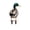 B, variante sur WMQPNNS Nouvelle Tendance Décoration de Volaille Insert de Cour Autocollant Acrylique Coq Décoration d'Art de Cour Décoration de Cour Acrylique Imprimé Recto Verso Cartes de Fête Décoration de Jardin d'Animaux