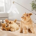 thumbnail image 1 of Wzzjkit Pet Supplies Cats Toy Feathers Cats Play Stick with Bells Interactive Game Stick Suitable for Kittens and Cats Replaceable Feathers Pet Training Exercise Toy, 1 of 6
