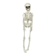 thumbnail image 1 of Halloween Skeletons Life Size,Realistic Human Skeleton Full Body,Movable Posable Joints Skeleton,Creepy Halloween Plastic Skeleton for Graveyard Decorations,Haunted House Props Indoor/Outdoor Decor, 1 of 8
