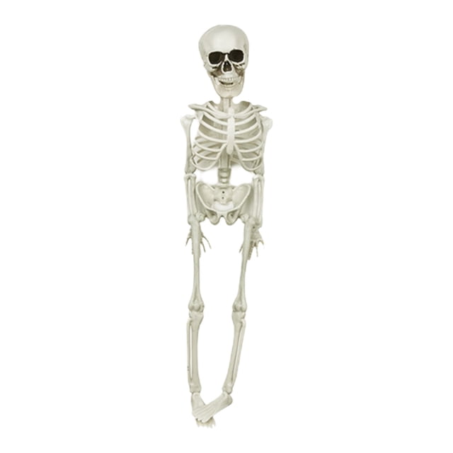 Halloween Skeletons Life Size,Realistic Human Skeleton Full Body,Movable Posable Joints Skeleton,Creepy Halloween Plastic Skeleton for Graveyard Decorations,Haunted House Props Indoor/Outdoor Decor