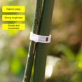 thumbnail image 4 of Visland Clips de Support en Plastique pour Plantes Clips de Treillis Réutilisables pour Tomates Plantes Grimpantes Vignes Concombres Usage Intérieur Extérieur, 4 of 8