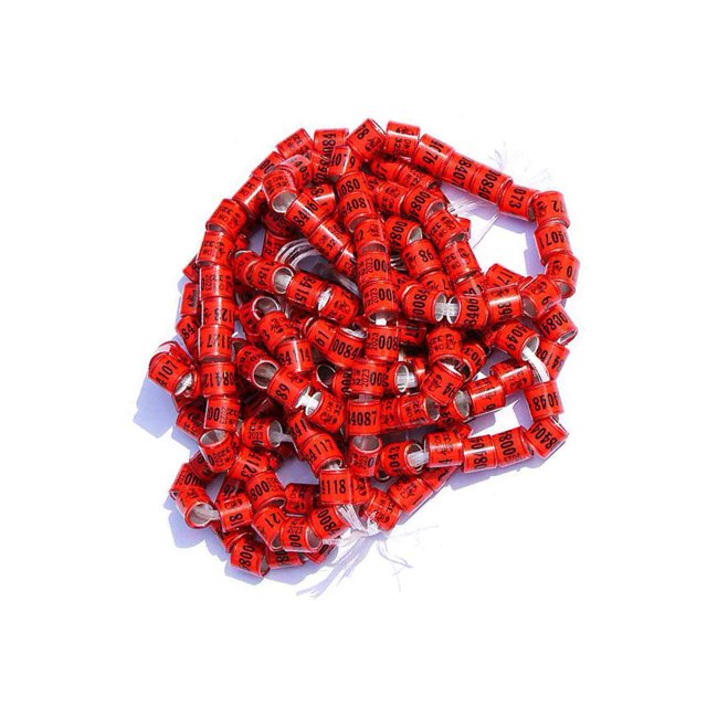 50x 2023 Pigeon Leg Rings Bird Foot Bands for Bantam Finch Canary Red