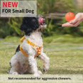thumbnail image 3 of Meottam Interactive Dog Toys Ball for Small & Medium Dogs, Electric Bouncing Durable Automatic Rolling Balls with LED Lights, Waterproof Smart Tennis Pets Chew Toys for Dogs and Cats (Orange), 3 of 6