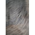 thumbnail image 2 of ICELANDIC SHEEPSKIN LONG-HAIRED RUG 4' X 6', 2 of 2