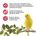 thumbnail image 4 of Living World Canary Treat Sticks Fruit Melody 60 G, 4 of 6