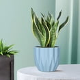 thumbnail image 1 of RuiJiao Clearance Round Planter Pot Vintage-Style White Flower Pots Indoor Textured Cylindrical Succulent Containers, 1 of 6