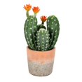 thumbnail image 1 of Vickerman FH192214 14 in. Green Potted Cactus Plastic Planter Pot, 1 of 2