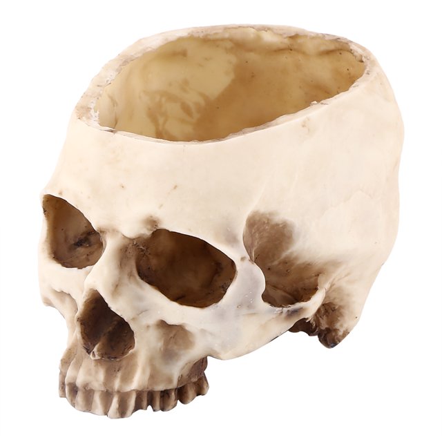 Yosoo 1pc Resin Skull Head Design Flower Pot Planter Container Decoration, Skull Container, Skull Plant Pot