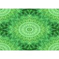 thumbnail image 1 of Ahgly Company Machine Washable Indoor Rectangle Transitional Neon Green Area Rugs, 2' x 3', 1 of 7